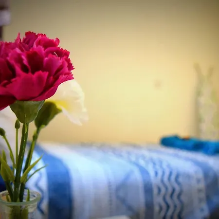 Apartament Marcelia Nissi